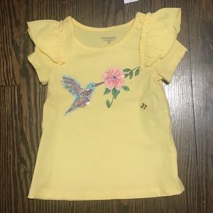 3T Toughskins hummingbird outfit NWT